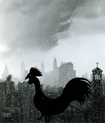André Kertész | <i>Rooster, New York, 1952</i>