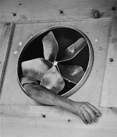 Arm with Fan, New York, 1937 © André Kertész