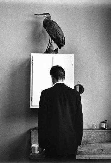 The Heron, 1969 © André Kertész