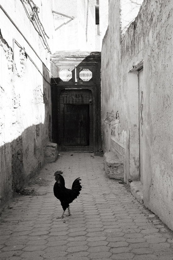 The Medina, Fez, Morocco; Leica MP 0.58, 35mm Summicron, Kodak Tri-X © Doug Kim 