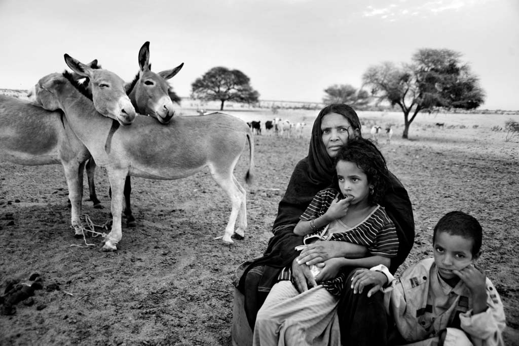 Chroniques de l’Azawad © Férhat Bouda