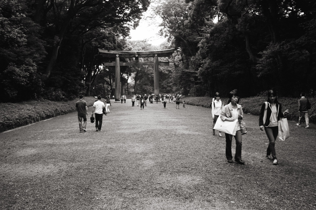 Meiji Shrine, Tokyo, Japan; Leica MP 0.58, 35mm Summilux, Kodak Tri-X © Doug Kim