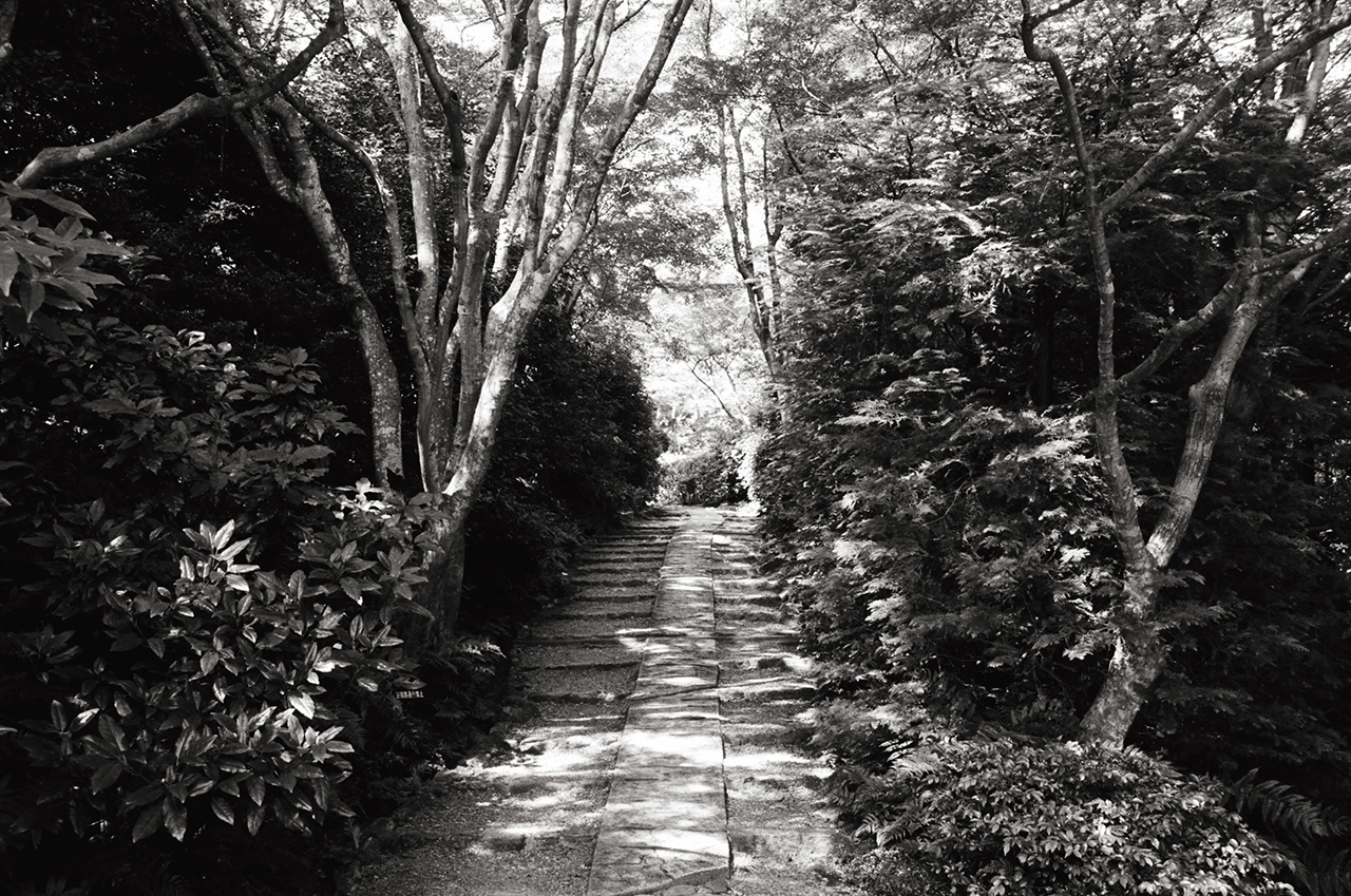 Kyoto, Japan; Leica MP 0.58, 35mm Summicron, Kodak Tri-X © Doug Kim